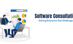 Software Consultation: Solving Enterprise Tech Challenges
