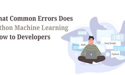 What Common Errors Does Python Machine Learning Show to Developers