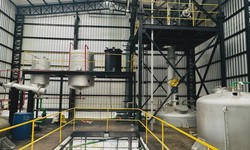 The Environmental Benefits of Operating a Biodiesel Plant