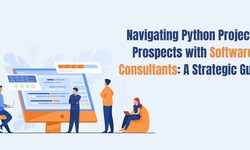 Navigating Python Projects Prospects with Software Consultants: A Strategic Guide