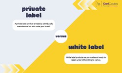 Private Label vs White Label: What's Best for Your Shopify Store?