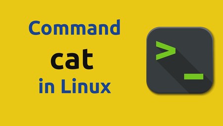 How to use cat command in Linux