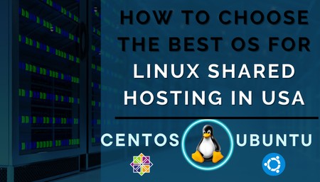 How to Choose the Best Os for Linux Shared Hosting in USA: Centos vs Ubuntu?