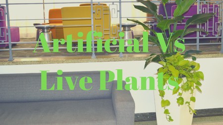 Why do you need artificial plants in your office?