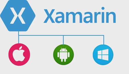 How Xamarin Developers Will Change the Future and How You Can Benefit