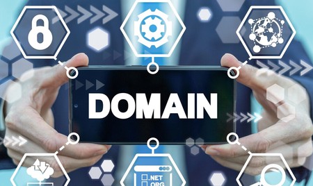 The procedure of easy registration of pk domain name