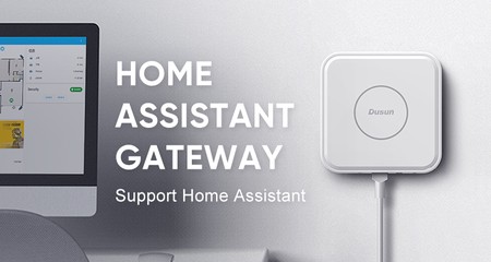 Home Assistant With Dusun Review