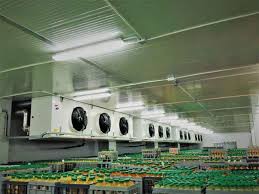 Most Economic & Affordable Cold Room Manufacturers in Saudi Arabia