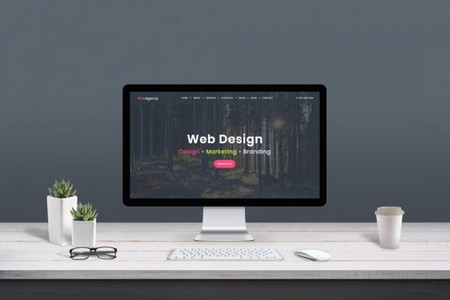 Affordable Logo Design and Website Design Add Value for a Startup