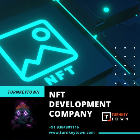 Go into NFT verse with NFTs Mint from our NFT Development Services