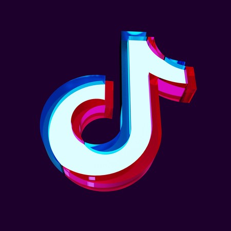 What makes TikTok followers so significant?