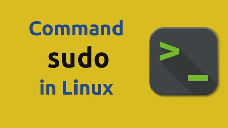 How to Use the Sudo Command in Linux