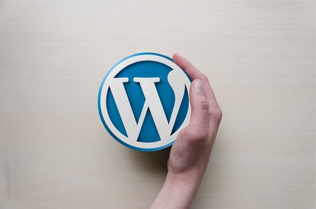 WP Web Coders - Why Should You Build a WordPress Website for Your Company in 2023?