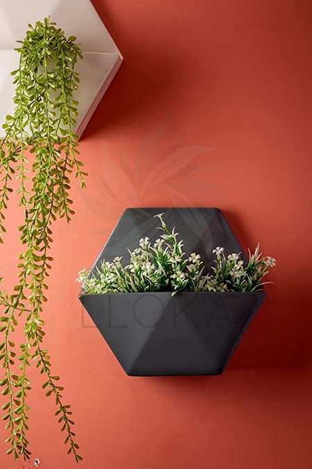 Essential Guidelines about Wall planter with Types of Them