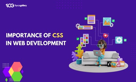 Beginner’s Guide: Importance of CSS in Web Development
