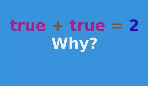 Why TRUE + TRUE = 2: Data Types