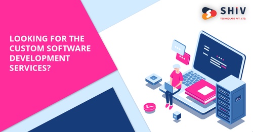 Looking for the Custom Software Development Services?