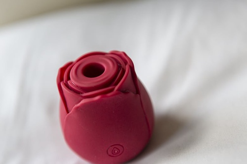 Everything you need to know about rose toy
