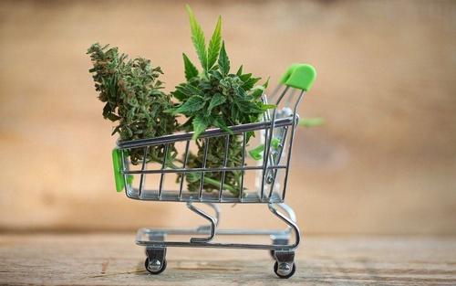 5 Reasons To Buy Cannabis Online