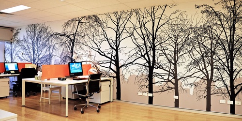 Commerical Paintings Designs and Murals For Your Office
