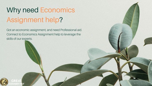 Why need Economics Assignment help?