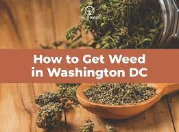 Why Crazy People of DC Must Need of Weed in DC?