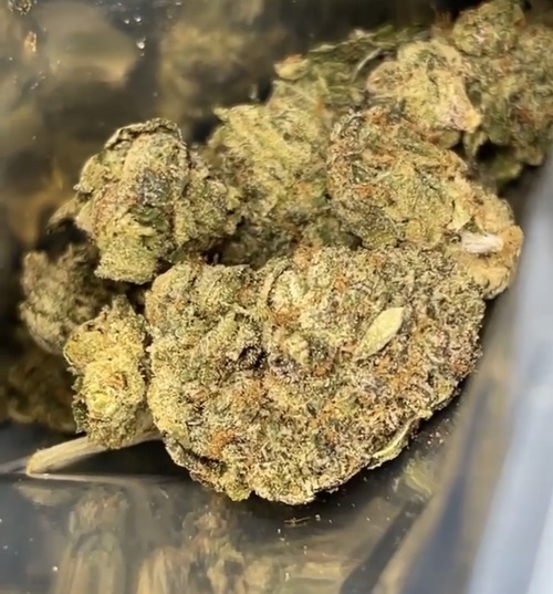 Now Get Trusted Weed Delivery Services in DC Online