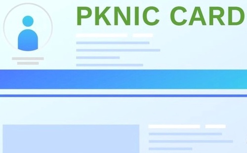 What is the reason behind purchasing Pknic cards?