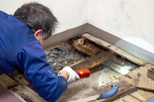 Methods Of Mold Removal
