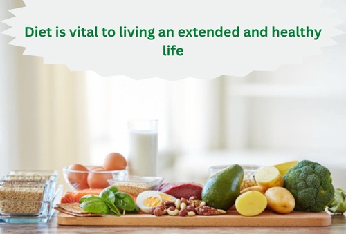Diet is vital to living an extended and healthy life