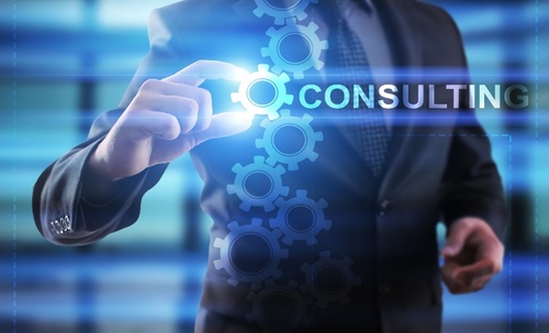 Business Consulting Services in the USA