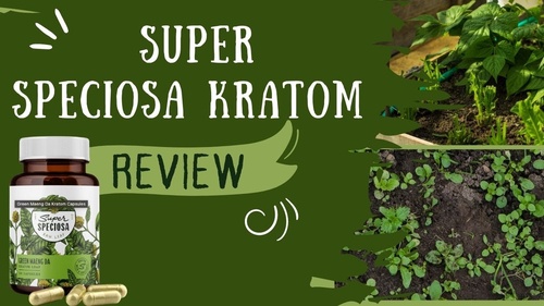 Super Speciosa: The Ultimate 2022 Review of the Finest Kratom Available