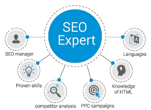 Why You Should Hire a Professional SEO Expert Consultant