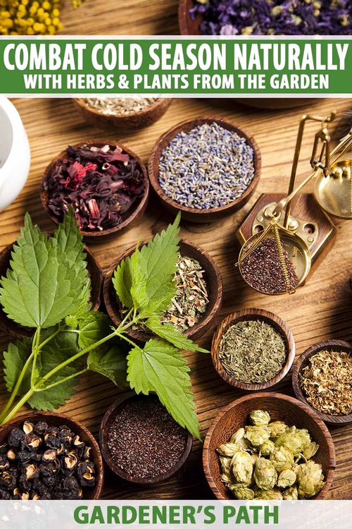 The Traditional Medicine and Modern Medicine from Natural