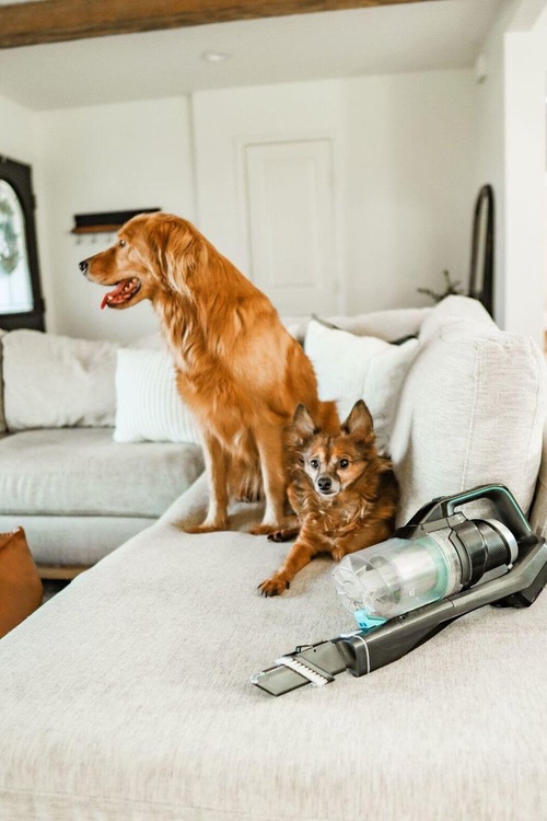 How to remove dog odor from vacuum cleaner?