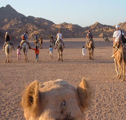 5 Best Must Visit Sights in Sharm El Sheikh