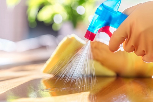 Cleaning companies for your apartment or house