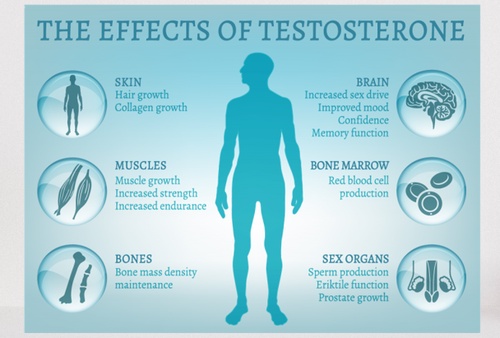 Testosterone Replacement Therapy Proves To Be Beneficial For Men Over 35