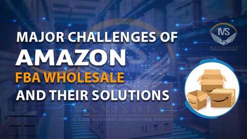 Solutions of Problems in Amazon FBA PL Wholesale Model