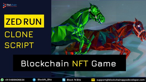 How To Launch A NFT Digital Horse Game Like Zed Run?