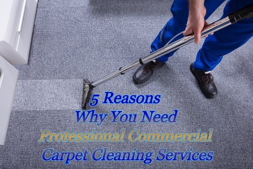 5 Reasons Why You Need Professional Commercial Carpet Cleaning Services