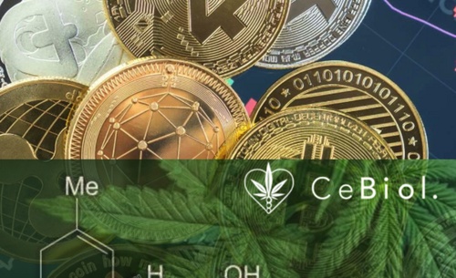 German Crypto Startup Develops Blockchain Solutions for the Cannabis and CBD Market