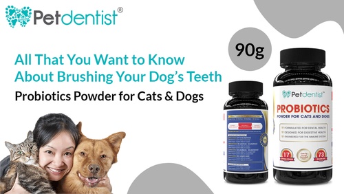 All That You Want to Know About Brushing Your Dog’s Teeth