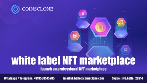 White Label NFT Marketplace- launch a professional NFT marketplace