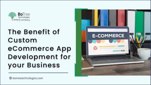 The Benefit of Custom eCommerce App Development for your Business