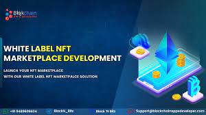 White Label NFT Marketplace Development Company - Build Your Own NFT Marketplace Within 48 Hours