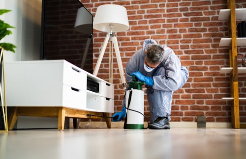 Affordable Pest Control Services in Tranmere Get Rid of The Bugs for Less