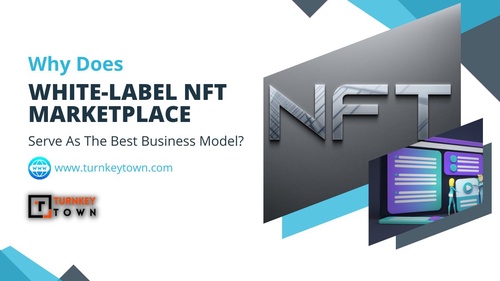 White-label NFT Marketplace- The Quicker Route To Launch A Marketplace In The NFT verse