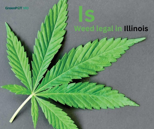In Illinois, is marijuana legal? Legalization Guide (2023)