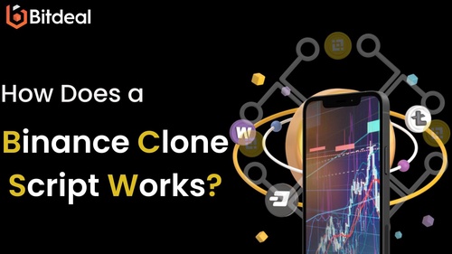 How does a Binance Clone Script Works?